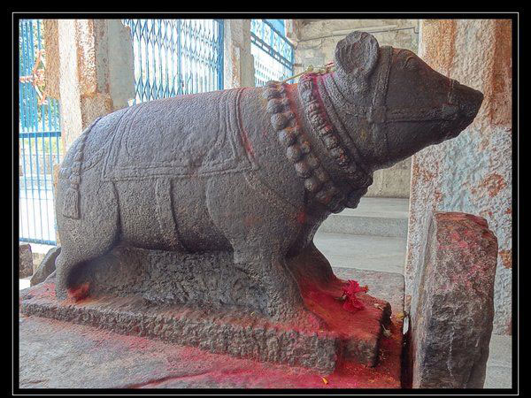 కురుడుమలై