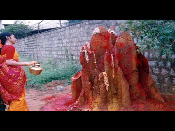 నాగ చంద్రేశ్వర దేవాలయం