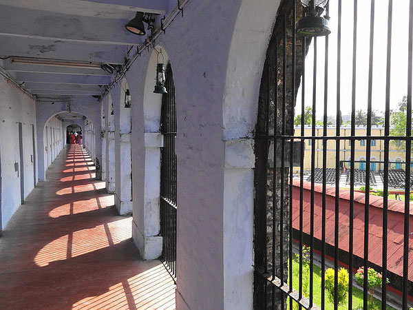 మ్యూజియం