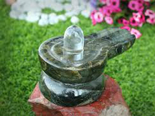 తమతో పాటు తీసుకువెలుతారు