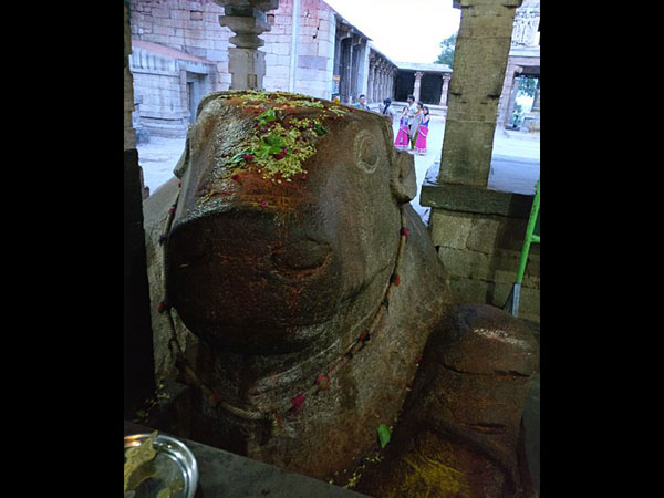 ఔషద గుణాలు