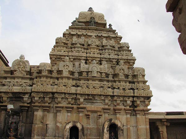 కొమ్ముల మధ్య నుంచి