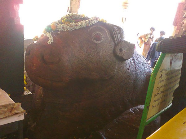 శంకర గుహ