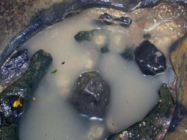 ఎంతమేరకు