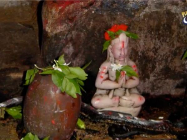 నిత్యకళ్యాణి సమేత విశ్వనాథ స్వామి దేవాలయం