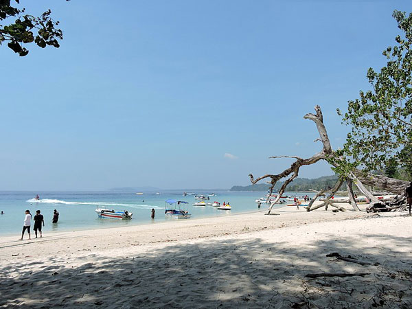 బీచ్ నం 7