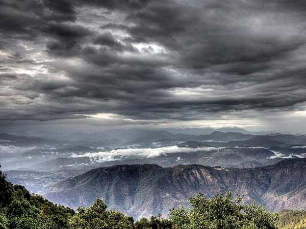 బిన్ సార్