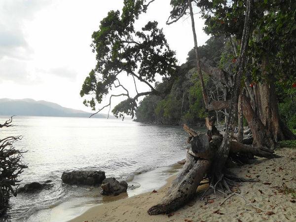 ఎప్పుడు వెళ్లాలి