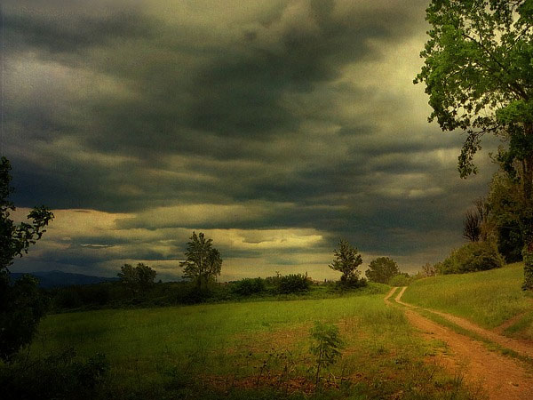 మున్నార్