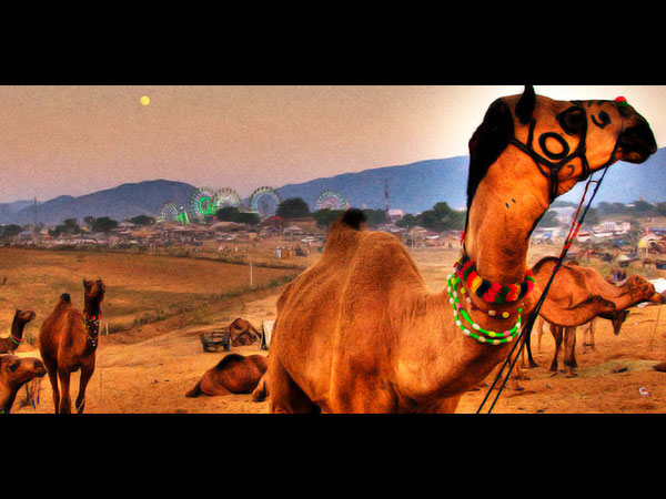 పుష్కర్ మేళ 2018