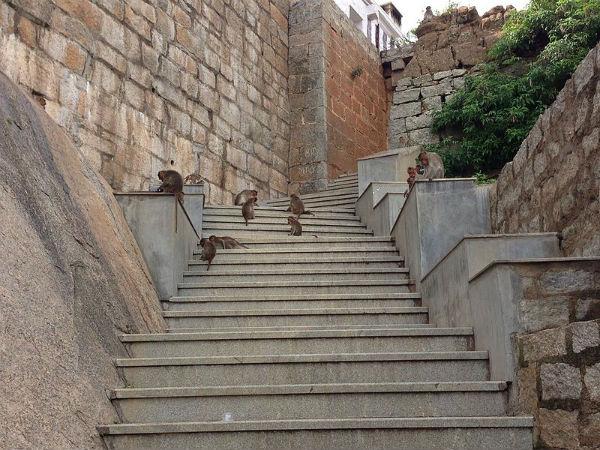 నరసింహ స్వామి దేవాలయం