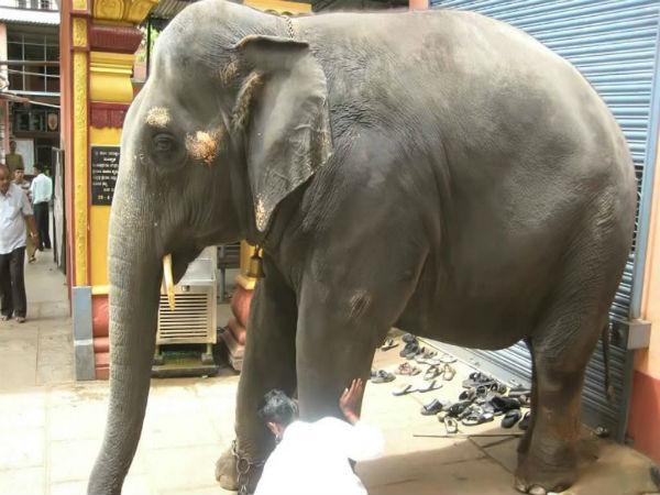 కటిలు దుర్గా పరమేశ్వరీ దేవాలయం