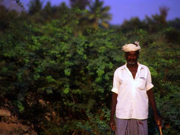 ఏరి కథ రామార్ దేవాలయం, మధురాంతకం