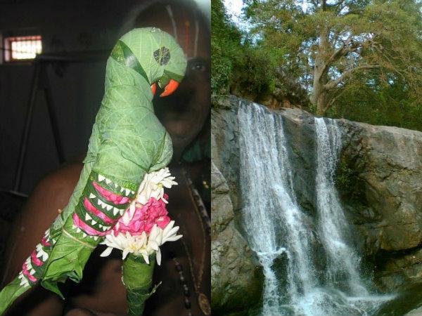 షాన్బాగ్ తోపు మీన్వెటై పారై వాటర్ ఫాల్స్