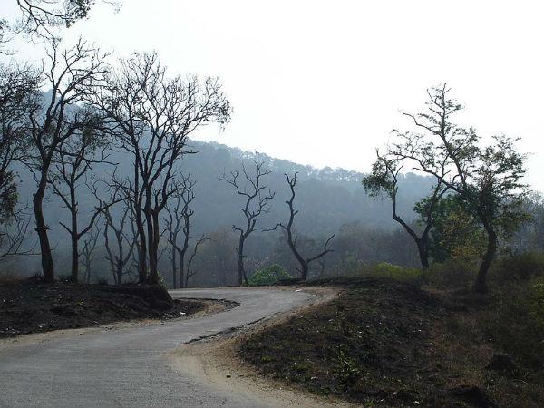 మాసినగుడి