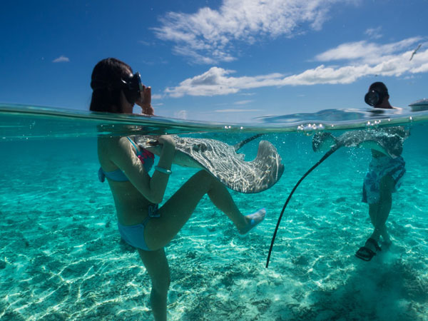 ప్రవేశరుసుం లేదు
