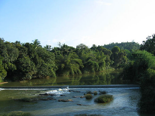 6. వయనాడ్: 