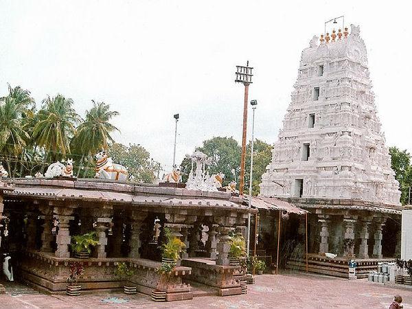 6. భ్రమరాంబికాదేవి :