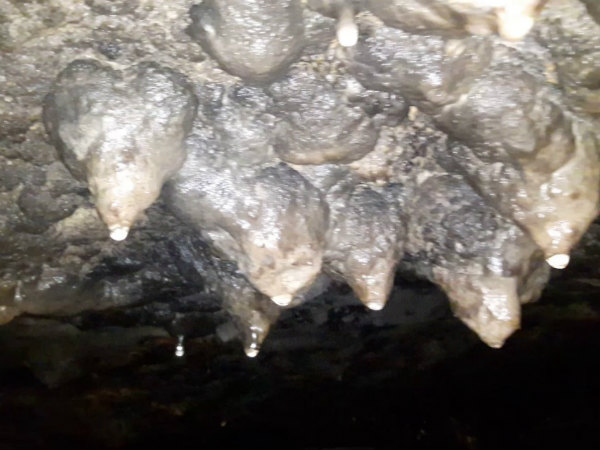 నీరు నిరంతరం ఆ శివలింగంపై నీటి ధారగా పడుతుంది