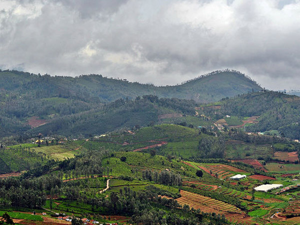 రోజ్ గార్డెన్ లేదా రోజ్ గార్డెన్: 