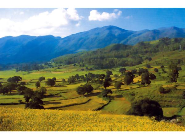 టూరిస్ట్ అట్రాక్షన్స్ : 