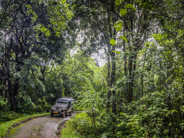 పలక్కాడ్: