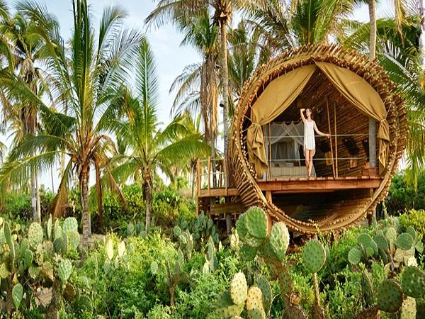 ఆయుర్వేద స్పా 