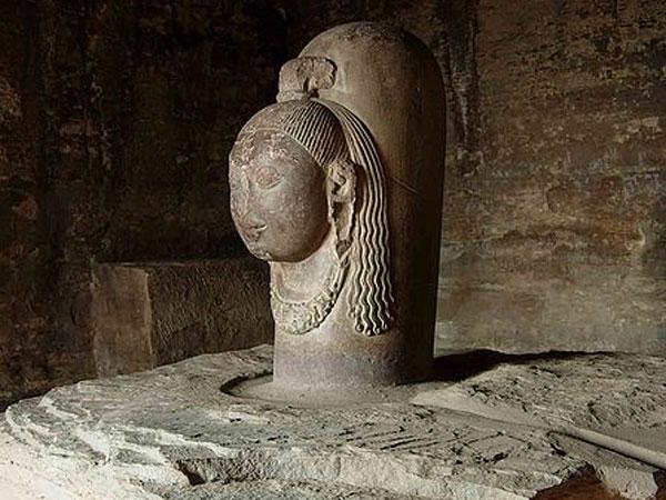 విసుగు చెందిన చిత్రగ్రీవుడు 