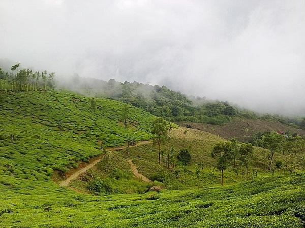 పొడవునా పొగ మంచు