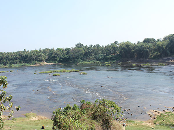 ఇల్లితోడు: 