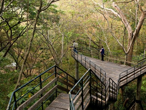 ఆహ్లాదపరిచే ట్రీ హౌజ్: