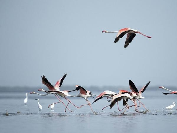 శ్రీహరి కోట అంతరిక్ష కేంద్రం ఇక్కడే ఉన్నది. 