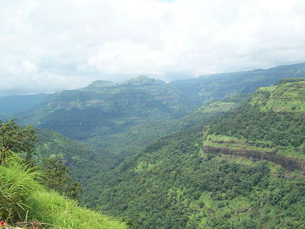 టైగర్స్ లీప్ టైగర్స్ లీప్