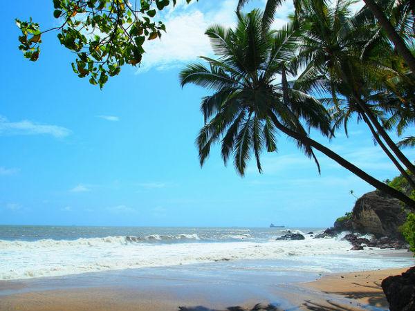 గ్రాండ్ మదర్స్ హోల్స్ బీచ్: 