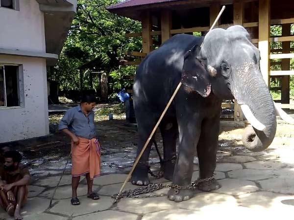 పున్నత్తూర్ కోట