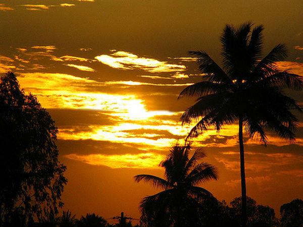 భవనం యొక్క చరిత్ర 