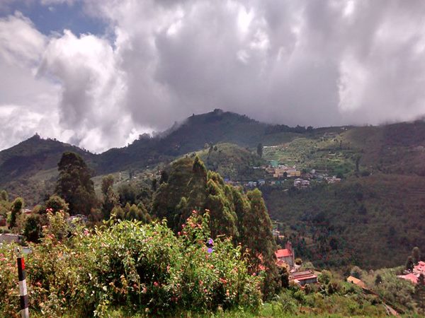 కొడైకెనాల్ హిల్ స్టేషన్ లో ఈ పార్క్ తో పాటు మరిన్ని టూరిస్ట్ స్పాట్స్ 