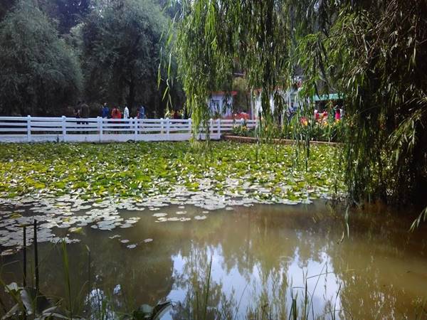 ప్రవేశ రుసుం : 