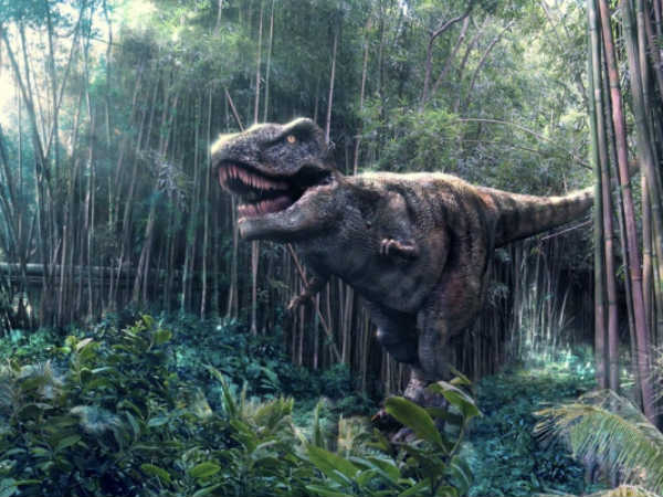 ప్రపంచ వ్యాప్తంగా పర్యాటకులను