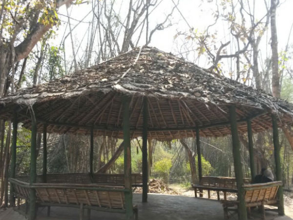 వెదురు షెల్టర్లు: 