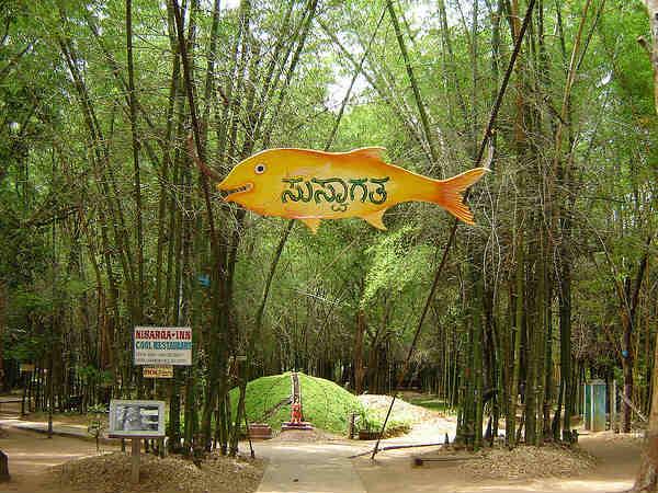 పర్యాటకులకు బసచేసేందుకు కాటేజీలు కలవు.