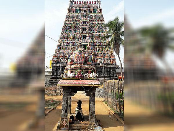  ప్రసూతి నంది