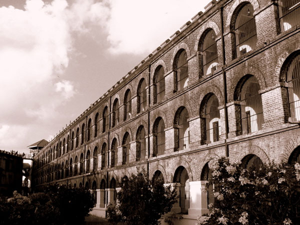  6. అండమాన్ మరియు నికోబార్ దీవులు