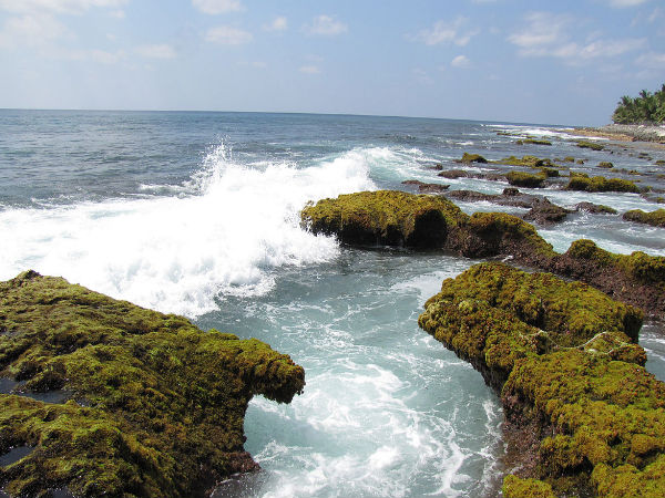 1) పగడపు దీవులు