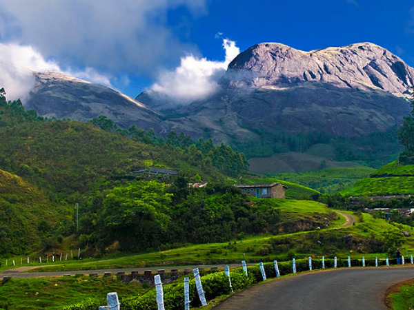 7.మున్నార్, కేరళ