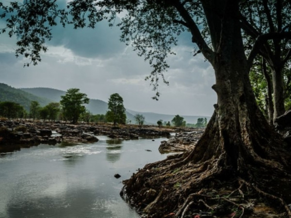 కుటీర పరిశ్రమగా ఉపాధి..