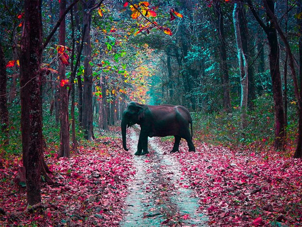 గౌహతి, అస్సాం