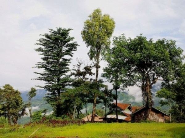 ఈ గ్రామ పెద్దకు నిజంగా 60 మంది భార్యలు ఉన్నారా?