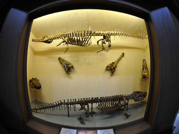 మూడు మ్యూజియంల కేంద్రం..