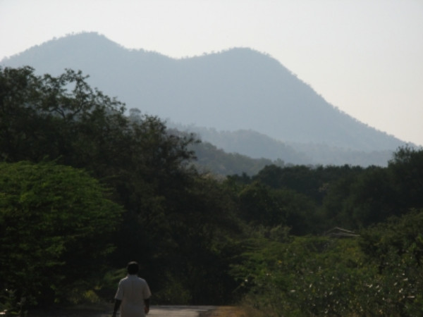 వన సంరక్షణ సమితులతో అభివృద్ధి